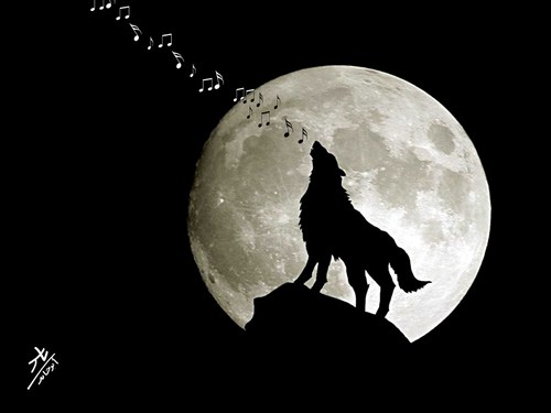 Cartoon: full moon (medium) by yaserabohamed tagged full,moon,wolf,music,tone