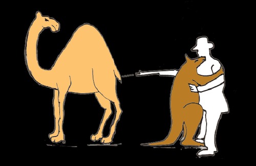 Cartoon: Australia (medium) by MSB tagged australia