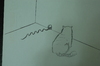 Cartoon: kedi ile fare (small) by MSB tagged kedi,ile,fare