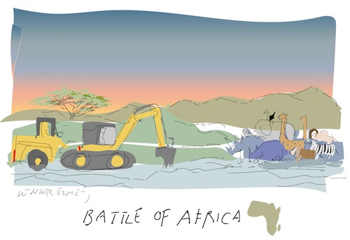 Cartoon: Battle of Africa (medium) by gungor tagged africa