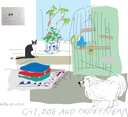 Cat Dog  Budgerigar