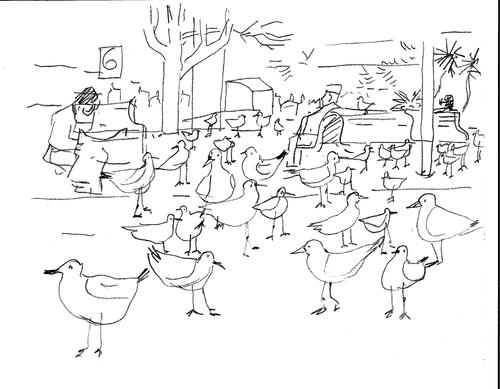 Cartoon: Sea Gulls-2 (medium) by gungor tagged australia