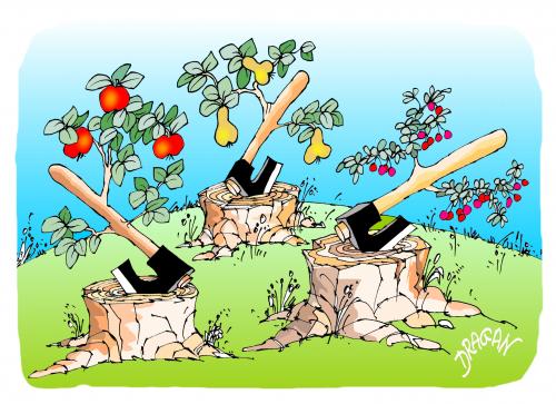 Cartoon: frutas (medium) by Dragan tagged frutas