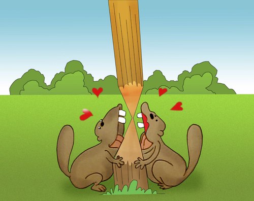 Cartoon: Beaver in Love.. (medium) by berk-olgun tagged beaver,in,love