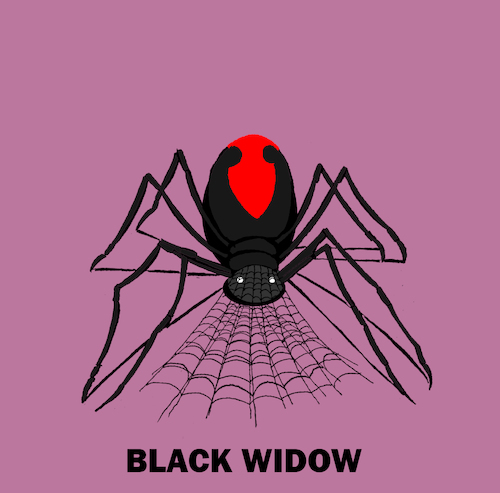 Cartoon: Black Widow.. (medium) by berk-olgun tagged black,widow