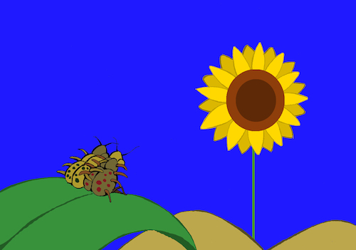 Cartoon: Bug Couple... (medium) by berk-olgun tagged sunflower