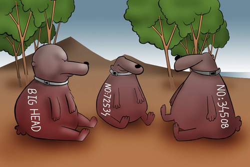 Cartoon: CODE.. (medium) by berk-olgun tagged code