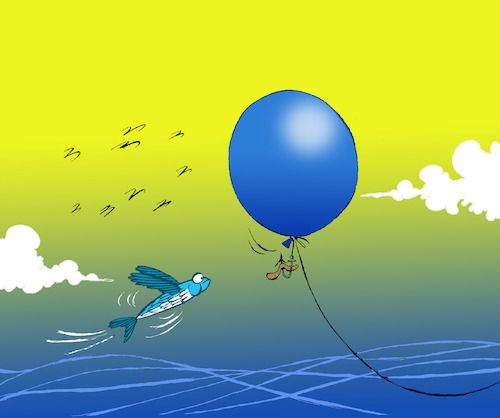 Cartoon: Flying Fish... (medium) by berk-olgun tagged flying,fish