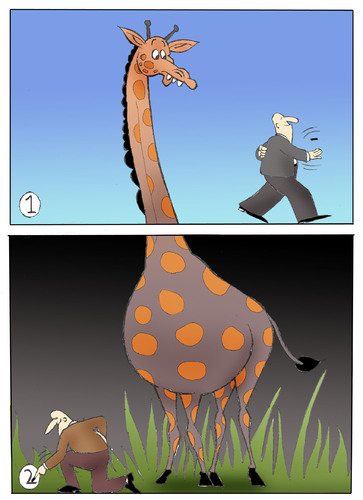 Cartoon: GIRAFFE... (medium) by berk-olgun tagged giraffe