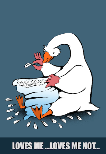 Cartoon: Goose Feather Pillow... (medium) by berk-olgun tagged goose,feather,pillow