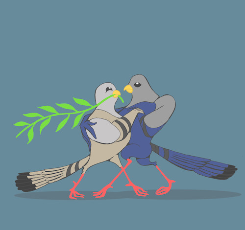 Cartoon: Pigeon Tango... (medium) by berk-olgun tagged pigeon,tango