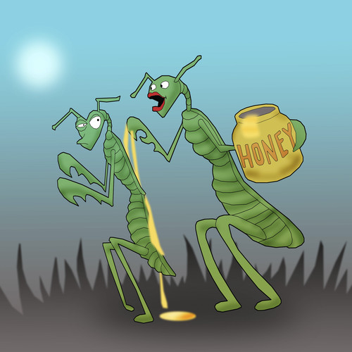 Cartoon: Praying Mantis s  Phantasy.. (medium) by berk-olgun tagged praying,mantis