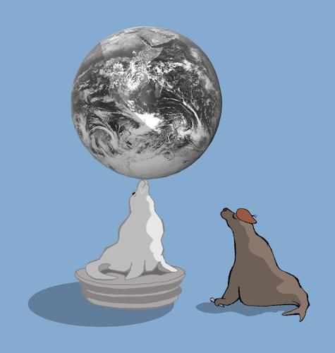 Cartoon: Sculptor Seal... (medium) by berk-olgun tagged atlas