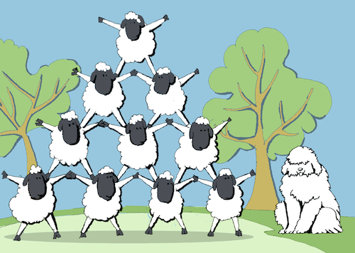 Cartoon: Sheepdog... (medium) by berk-olgun tagged sheepdog