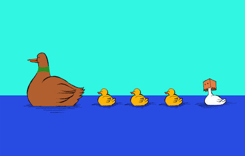 Cartoon: Ugly Duckling... (medium) by berk-olgun tagged ugly,duckling