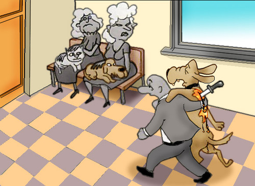 Cartoon: Vet.. (medium) by berk-olgun tagged vet