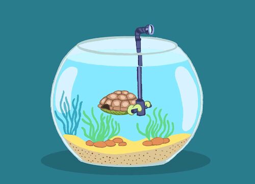 Cartoon: Water Turtle... (medium) by berk-olgun tagged water,turtle