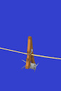 Cartoon: Barbed Wire... (small) by berk-olgun tagged barbed,wire