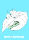 Cartoon: Metamorphosis... (small) by berk-olgun tagged metamorphosis