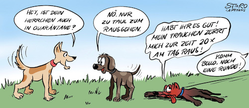 Hunde mit Burnout Hunde mit Burnout