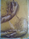 Cartoon: after Leonardo (small) by Shareni tagged leonardo,drawing,old,masters,study,hands