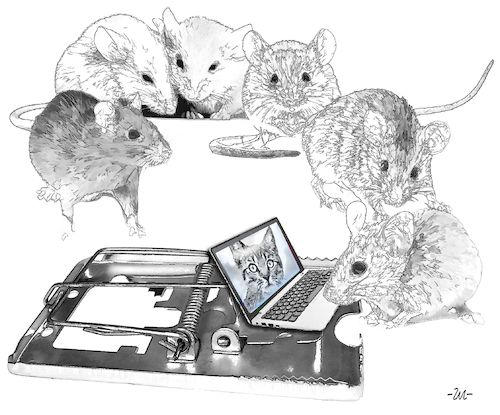Cartoon: Mousetrap (medium) by zu tagged mousetrap,laptop,mouse