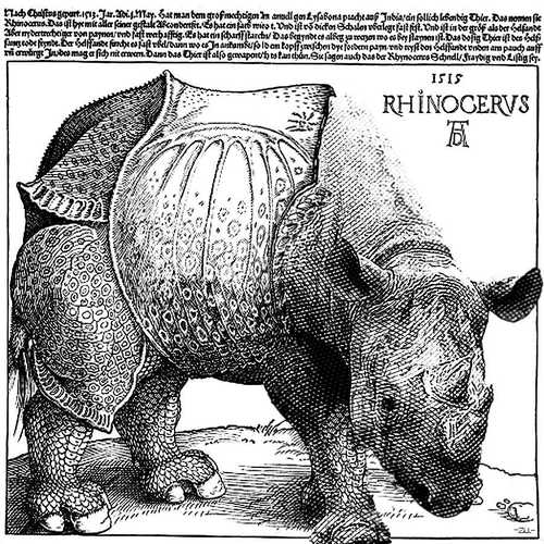Cartoon: Rhynocerus (medium) by zu tagged rhynoceros,dürer