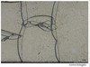 Cartoon: cemento legato (small) by Enzo Maneglia Man tagged spiragli,di,luce,foto,man,manegia,enzo,2015