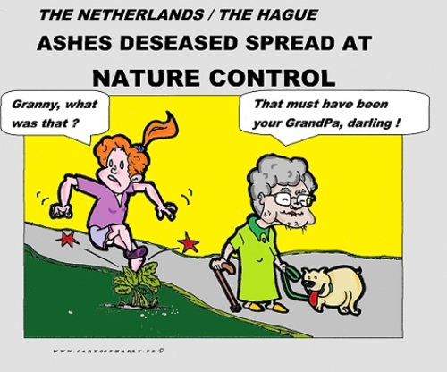 Cartoon: Ashes Makes Nettles (medium) by cartoonharry tagged nettles,brandnetel,granny,grannie,granddaughter,nature,spread,cartoon,comic,comics,artist,cool,man,woman,old,drawing,girl,toonpool,toonsup,facebook,hyves,linkedin,buurtlink,deviantart