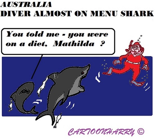 Cartoon: Diver to Sharks (medium) by cartoonharry tagged toonpool,divers,sharks,menu,australia