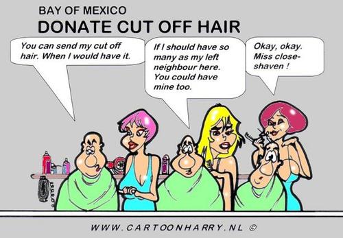 Cartoon: Donate Hair (medium) by cartoonharry tagged hair,cut,shaven,donate,cartoonharry