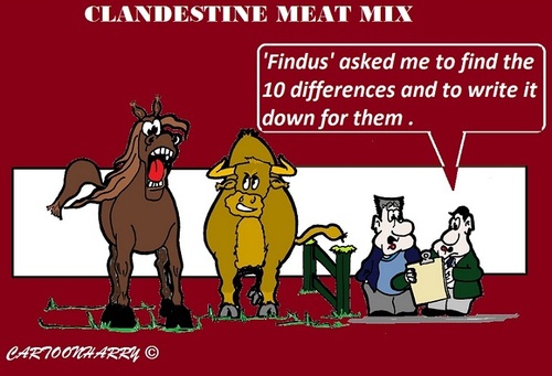 Cartoon: European Meat (medium) by cartoonharry tagged toonpool,dutch,cartoonharry,cartoonists,cartoons,horse,horsemeat,england,france,romania,meat