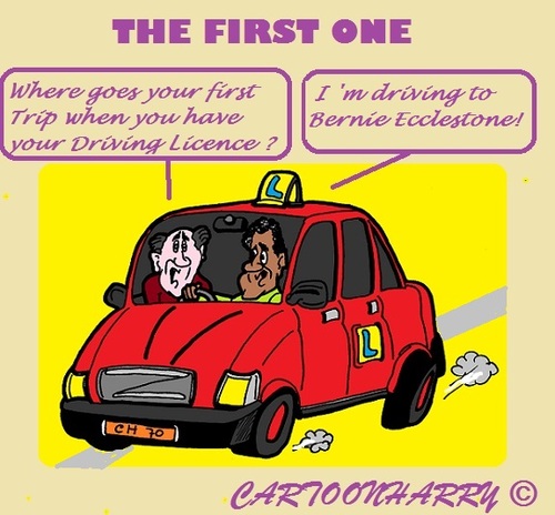 Cartoon: Formula One (medium) by cartoonharry tagged drivinglessons,bernieecclestone,formulaone