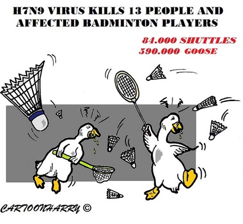 Cartoon: H7N9 (medium) by cartoonharry tagged birdsflu,h7n9,china,badminton,goose,birds,shuttles,cartoons,cartoonists,cartoonharry,dutch,toonpool