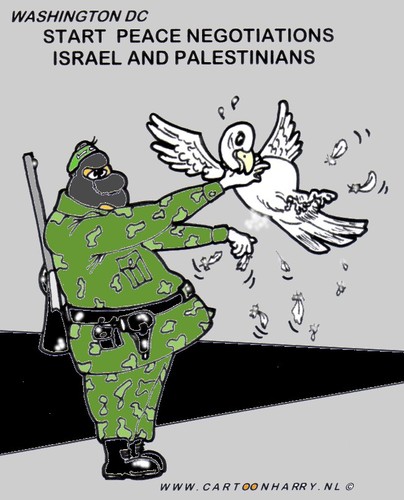 Cartoon: Hamas Peace (medium) by cartoonharry tagged hamas,peace,israel,palestinians,cartoonharry,pigeon