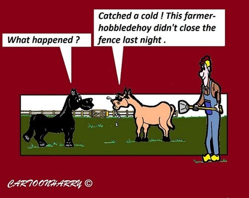 Cartoon: Hobbledehoy (medium) by cartoonharry tagged hobbledehoy,farm,farmer,horse,catchacold,close,fence,cartoon,cartoonist,cartoonharry,dutch,toonpool