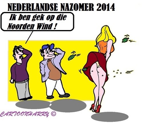 Cartoon: Nazomer (medium) by cartoonharry tagged holland,germany,zomer,late,2014,wind,noorden