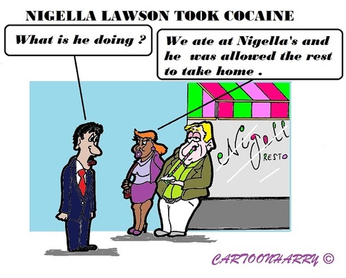 Cartoon: Nigella Lawson (medium) by cartoonharry tagged dinner,nigellalawson