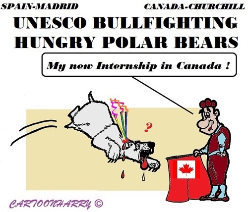 Cartoon: The Bull (medium) by cartoonharry tagged polarbear,bullfight,unesco,heritage