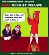 Cartoon: Wolf In Holland (small) by cartoonharry tagged wolf,ridinghood,holland,cartoon,cartoonist,cartoonharry,dutch,toonpool