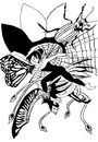 Cartoon: metamorphose (small) by Dekeyser tagged butterfly,beetle,spider,web,phenix,illustation