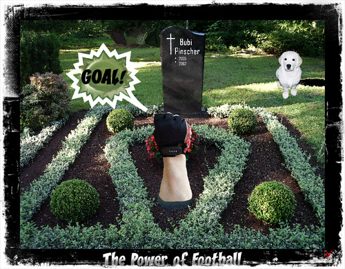 Cartoon: The Power of Football (medium) by Vanessa tagged wm,football,fußball,fifa,friedhof,goal,tor,weltmeisterschaft