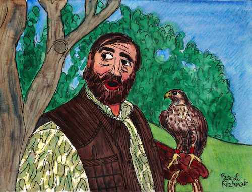 Irish Falconer