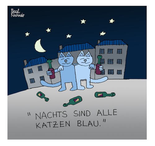 Nachts sind alle Katzen...