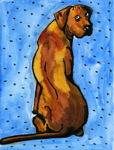 Cartoon: Rhodesian Ridgeback (medium) by Pascal Kirchmair tagged rhodesian,ridgeback,hunderasse,hund,perro,cane,chien,dog,cao,pascal,kirchmair,dessin,ink,drawing,tusche,tuschezeichnung,painting,dipinto,pintura,pittura,peinture,artist,artiste,artista,kunst,künstler,illustration,zeichnung,cartoon,caricature,karikatur,ilustracion,dibujo,desenho,disegno,ilustracao,illustrazione,illustratie,de,presse,du,jour,art,of,the,day,tekening,teckning,cartum,vineta,comica,vignetta,caricatura,portrait,porträt,portret,retrato,ritratto,arte,artwork,watercolor,watercolour,aquarell,aquarelle,acuarela,malerei,rhodesian,ridgeback,hunderasse,hund,perro,cane,chien,dog,cao,pascal,kirchmair,dessin,ink,drawing,tusche,tuschezeichnung,painting,dipinto,pintura,pittura,peinture,artist,artiste,artista,kunst,künstler,illustration,zeichnung,cartoon,caricature,karikatur,ilustracion,dibujo,desenho,disegno,ilustracao,illustrazione,illustratie,de,presse,du,jour,art,of,the,day,tekening,teckning,cartum,vineta,comica,vignetta,caricatura,portrait,porträt,portret,retrato,ritratto,arte,artwork,watercolor,watercolour,aquarell,aquarelle,acuarela,malerei