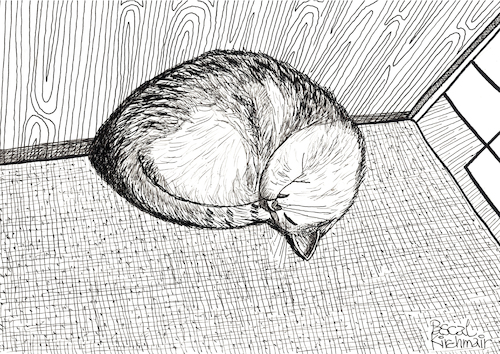 Cartoon: Sleeping Cat (medium) by Pascal Kirchmair tagged sparky,monika,cat,katze,gato,gatto,chat,dans,le,panier,humour,umorismo,humorous,spirito,humor,illustration,ink,drawing,zeichnung,pascal,kirchmair,political,cartoon,caricature,karikatur,ilustracion,dibujo,desenho,da,china,disegno,ilustracao,illustrazione,illustratie,dessin,de,presse,tekening,teckning,cartum,vineta,comica,vignetta,caricatura,inchiostro,tinta,encre,chine,tusche,tuschezeichnung,sparky,monika,cat,katze,gato,gatto,chat,dans,le,panier,humour,umorismo,humorous,spirito,humor,illustration,ink,drawing,zeichnung,pascal,kirchmair,political,cartoon,caricature,karikatur,ilustracion,dibujo,desenho,da,china,disegno,ilustracao,illustrazione,illustratie,dessin,de,presse,tekening,teckning,cartum,vineta,comica,vignetta,caricatura,inchiostro,tinta,encre,chine,tusche,tuschezeichnung