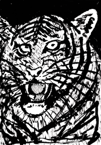 Cartoon: Tiger (medium) by Pascal Kirchmair tagged predator,raubkatze,predateur,felin,felino,fauve,predador,predatore,tiger,tigre,big,cat,cats,katzen,gatos,gatti,chats,illustration,ink,drawing,zeichnung,pascal,kirchmair,cartoon,caricature,karikatur,ilustracion,dibujo,desenho,ilustracao,illustrazione,illustratie,dessin,de,presse,tekening,teckning,cartum,vineta,comica,vignetta,caricatura,tusche,tuschezeichnung,portrait,retrato,porträt,ritratto,art,arte,kunst,artwork,predator,raubkatze,predateur,felin,felino,fauve,predador,predatore,tiger,tigre,big,cat,cats,katzen,gatos,gatti,chats,illustration,ink,drawing,zeichnung,pascal,kirchmair,cartoon,caricature,karikatur,ilustracion,dibujo,desenho,ilustracao,illustrazione,illustratie,dessin,de,presse,tekening,teckning,cartum,vineta,comica,vignetta,caricatura,tusche,tuschezeichnung,portrait,retrato,porträt,ritratto,art,arte,kunst,artwork