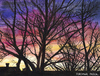 Cartoon: Abenddämmerung (small) by Pascal Kirchmair tagged natur crepuscule abenddämmerung dusk twilight anochecer crepuscolo aquarell pascal kirchmair watercolour silhouettes dipinto pintura picture painting peinture cuadro illustration quadro