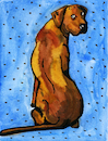 Rhodesian Ridgeback