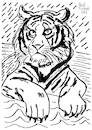 Cartoon: Tiger (small) by Pascal Kirchmair tagged predator,raubkatze,predateur,felin,felino,fauve,predador,predatore,tiger,tigre,big,cat,cats,katzen,gatos,gatti,chats,illustration,ink,drawing,zeichnung,pascal,kirchmair,cartoon,caricature,karikatur,ilustracion,dibujo,desenho,ilustracao,illustrazione,illustratie,dessin,de,presse,tekening,teckning,cartum,vineta,comica,vignetta,caricatura,tusche,tuschezeichnung,portrait,retrato,porträt,ritratto,art,arte,kunst,artwork